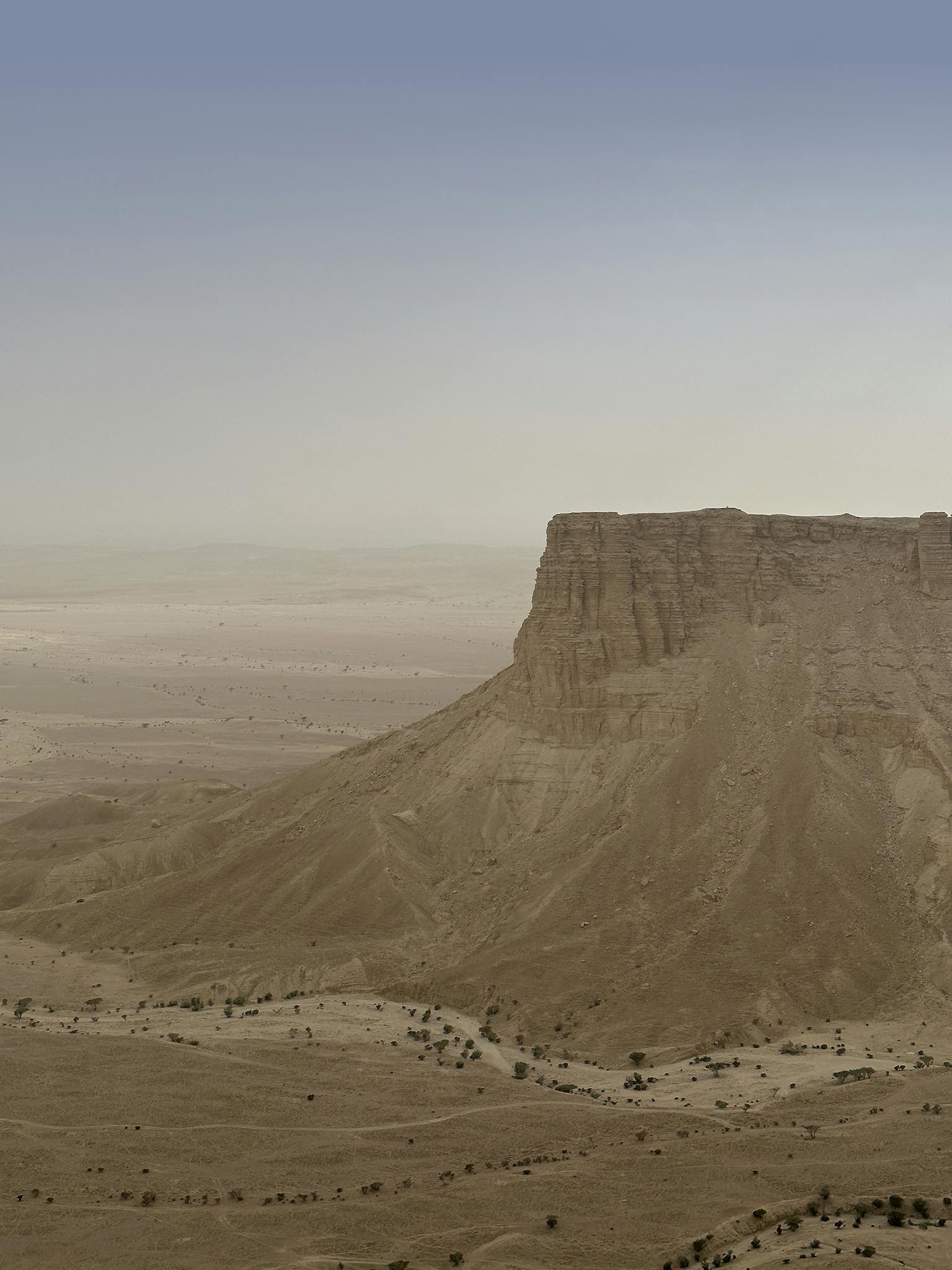 Arabian Desert